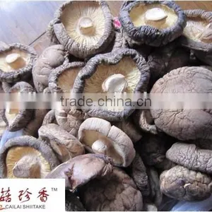 High Quality Dried Shiitake Mushroom, High Quality Shiitake Freeze Dried Shiitake Mushroom thumbnail-2