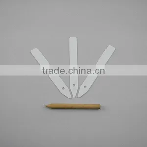 4 Inch Gardening Pencil With Plastic White Plant Label thumbnail-2
