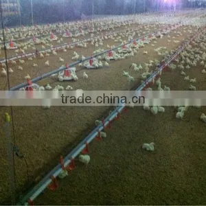 Poultry Farm Equipment thumbnail-1