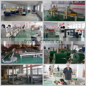 High Quality Automatic Box Sealing Machine for Perfect Sealing Different Box thumbnail-4