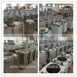 Dental Autoclave, High Pressure Steam Sterilizer - Bluestone Autoclave thumbnail-6