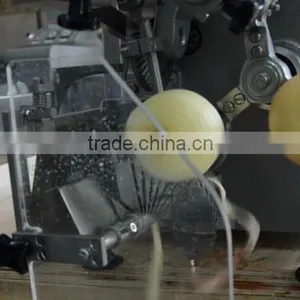 Apple Chips Production Line thumbnail-2
