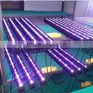 Double Lens Grow Bar 36w for Growing Layer Best Led Grow Light for Hydroponic in Great Demand thumbnail-1