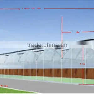Multi-span Greenhouse Industry thumbnail-3