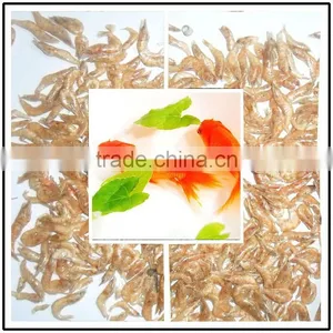 Dry Pet Food , Dried Shrimp Aquarium Fish Food thumbnail-1