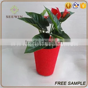 Paper Mesh Pot Covers for Plants thumbnail-5