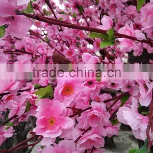 Artificial Peach Blossom Tree thumbnail-4