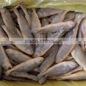 Frozen Fish Seafood Little Yellow Croaker thumbnail-1