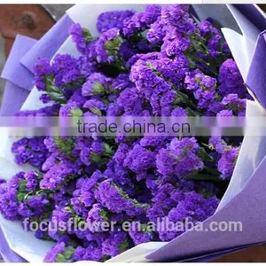 Real Touch Flowers Wholesale Cut Flowers Statice Wedding Flowers thumbnail-1