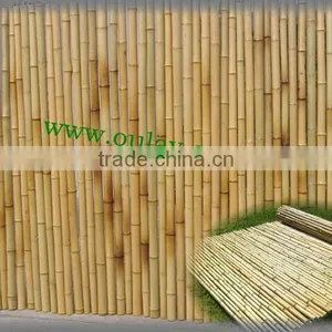 High Quality and Nature Bamboo Fence/bamboo Fencing/tonkin Bamboo Fence thumbnail-1