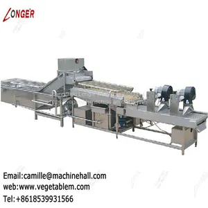 Dates Cleaning and Drying Machine|Fruit and Vegetable Cleaner Line|Automatic Dates Washing Line thumbnail-5
