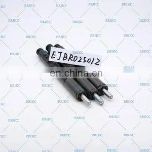 ERIKC EJBR02501Z Original Diesel 2501Z Common Rail Injector EJB R02501Z thumbnail-4