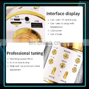 Handheld Wireless Microphone Professional Portable Factory Wholesale 2020 New Product For USB for Karaoke Microphone thumbnail-4