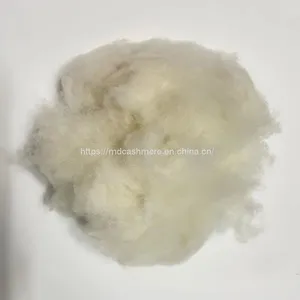 Whole Sales Lamb Wool Carded Sheep Wool 20.5mic thumbnail-1
