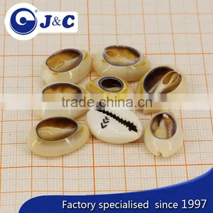 2015 Fashion OEM Cowries Shell Button thumbnail-1