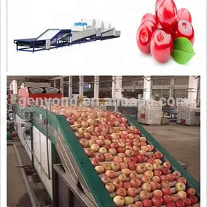 China Supply Vegetable Processing Machine Filter Equipment for Sale thumbnail-5