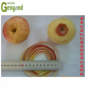 Core Components PLC Gear Pump Motor-Fruit and Vegetable Chips Making Machine thumbnail-2