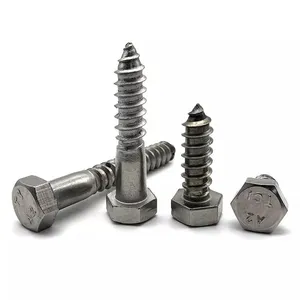 Custom Size Stainless Steel 304 DIN 571 Lag Bolts thumbnail-5