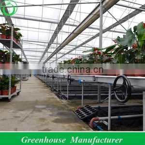 Hot Sale Cut Flowers Used Greenhouse Bench thumbnail-1