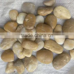 Yellow Pebbles Grade A River Cobble thumbnail-1