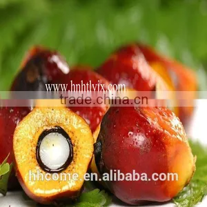 The Newest Technology! High Efficiency Palm Oil Making Machine,Palm Oil Refinery Plant Refining Machine,Palm Oil Crystal Machine thumbnail-4