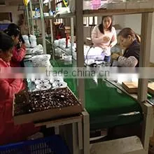 Foshan Sixu Electronic Technology Co., Ltd. company overview - view 2 thumbnail