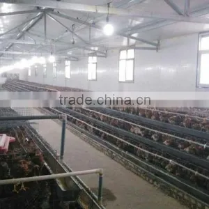Commerial Automatic Chicken Cage thumbnail-1