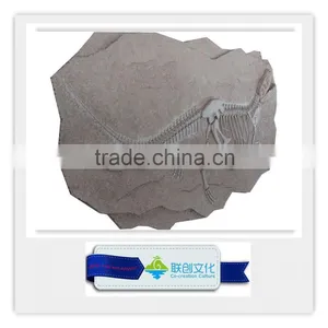 Popular Bone Fossil Replica of Dinosaur Bones thumbnail-5