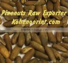 Pine Nuts Raw thumbnail-1