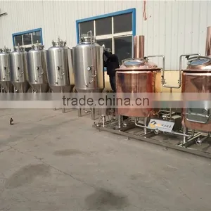 High Configuration 300L Beer Brewery Equipment For Beer Making Machine thumbnail-1