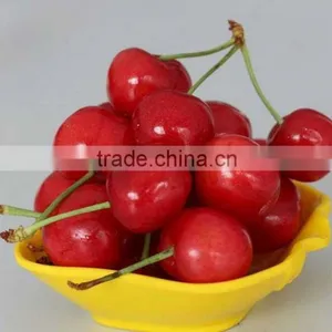 Import China Products Fresh Cherry High Quality Bagged thumbnail-1