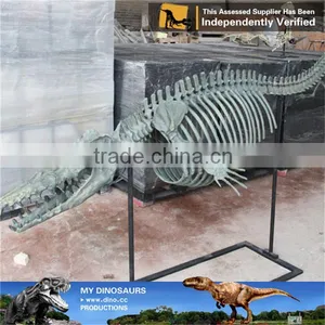 MY Dino-C083 Customized Dolphin Skeleton Replica thumbnail-3