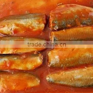 Wholesale Higher Quality Competitive Price Canned Mackerel thumbnail-5