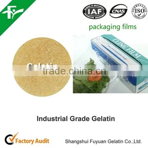High Quality Industrial Gelatin For Paper Making thumbnail-3