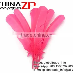 CHINAZP Crafts Factory Cheap Dyed Bulk Hot Pink Solid Color Turkey Feather for Sale thumbnail-2