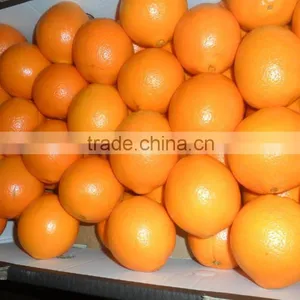 Fresh Valencia Orange thumbnail-6