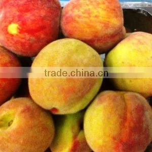 Peaches thumbnail-1