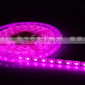 Factory Price High Quality DC12V 5050SMD 60led/m RGB LED Flexible Light Strip thumbnail-1