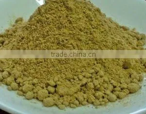 Mango Powder thumbnail-1