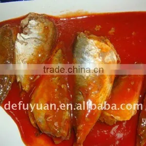 Popular Sale Canned Sardine in Tomato Sauce thumbnail-1