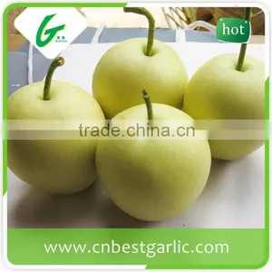 2016 New China Bulk Fresh Crown Pear thumbnail-6
