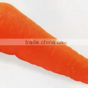 2015 Fresh Organic Carrot for Sale thumbnail-1