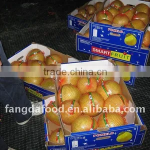 China Sweet Honey Pomelo thumbnail-1