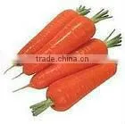 Fresh Red Carrot of 100g-150g-200g thumbnail-1