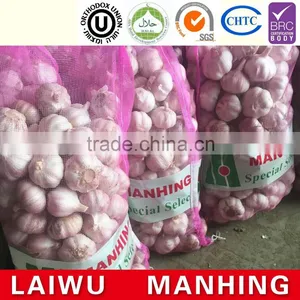 Hot Selling Normal White Fresh Garlic Price thumbnail-1