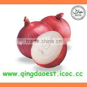 Fresh New Crop Red/ Yellow Onion PRODUCTS From China thumbnail-5