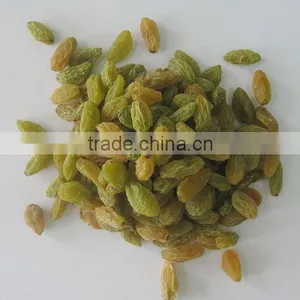 Best Price Top Quality Seeded  Raisin(golden,green,sultana,sun Dried) thumbnail-2
