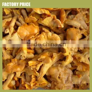 Salted Golden Chanterelle (Cantharellus Cibarius) thumbnail-1
