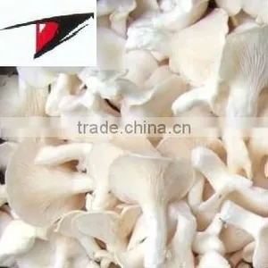 White Oyster Mushroom in Brine thumbnail-1