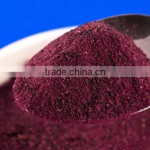 Freeze Dried Blueberry Powder thumbnail-1